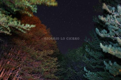 Etna 2016 09 03 0960 - Giorgio Lo Cicero
