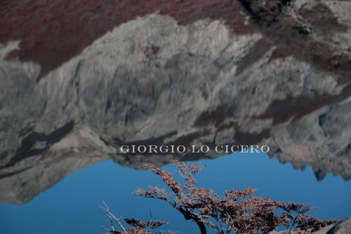 IMG 4141 - Giorgio Lo Cicero