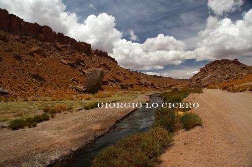 Argentina-Nord 2016 12 30 2274 - Giorgio Lo Cicero